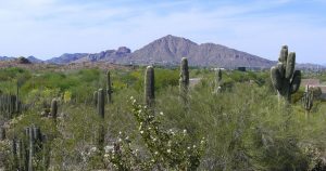 Camelback Mountain landscape