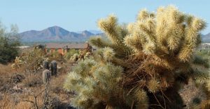 Landscape view of Camelback.