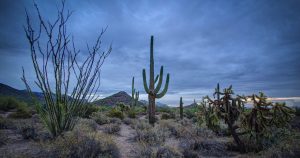 Mountain Region Park